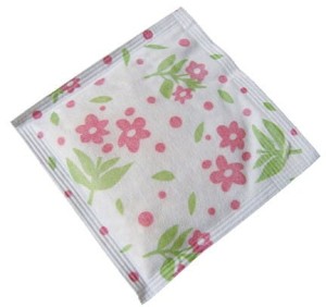 Saszetka do bielizny  ACT